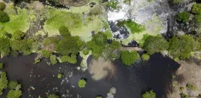 Recuperan 188 hectáreas de ciénaga en Córdoba que estaban en manos de la red criminal de 'Don Mario'