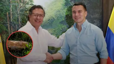 Revelan bomba de 250 kg en Nariño y desmienten a Ecuador: escala crisis Petro-Noboa