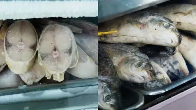 Salud de Bogotá emite recomendaciones para comprar pescado fresco en Semana Santa 2026