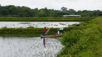 Sistema Nacional de Cooperación: el manglar institucional que fortalece el desarrollo territorial