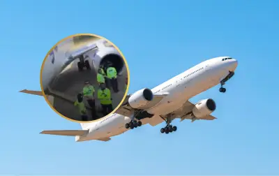 Susto en vuelo de Wingo: avión impacta aves y regresa de emergencia a Barranquilla