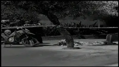 Temor en Cartago, Valle, tras asesinato de tres personas en un parque público