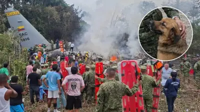 Un perro salvó a soldado de accidente aéreo en Putumayo por problema de peso de la mascota