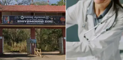 Veterinaria en prácticas muere tras ataque de hipopótamo en zoológico de India