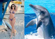 Aída Victoria Merlano inunda su apartamento y lo atribuye a su identificación como delfín