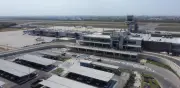 Aerocivil aclara alerta en Aeropuerto Cortissoz: 'Equipo canino' activó protocolos de emergencia