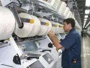 Analista advierte: Gobierno no puede sustituir al sector privado que genera 88% del PIB