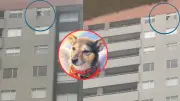Bogotá: Capturan a hombre por lanzar perro desde piso 25 en conjunto residencial