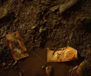 Bolivia busca destruir US$62 millones en efectivo tras accidente aéreo mortal