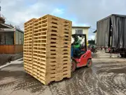 Bolívar tendrá la primera planta automatizada de estibas de madera de Colombia