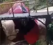 Bomberos de Medellín recuperan vehículo arrastrado por creciente en San Antonio de Prado