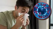 Brote de influenza aviar en Meta activa protocolos sanitarios de emergencia