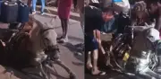 Burro colapsa en Cartagena por exceso de carga en carreta de reciclaje