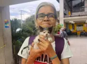 Capturan a hijo por feminicidio de animalista en Cali tras negarle dinero para drogas