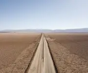 Chile modera postura ambiental: defensa de pingüinos pone en riesgo créditos verdes