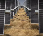 China critica el plan 'Hecho en Europa' de la UE por ser proteccionista y discriminatorio