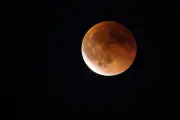 Colombia presenciará un eclipse total de 'Luna de Sangre' en marzo: no volverá hasta 2028