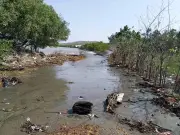 Comunidad de Loma de Arena en Santa Catalina denuncia crisis por erosión costera y frente frío