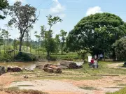 Comunidades campesinas en riesgo de desaparecer por enfrentamientos armados en Magdalena Medio