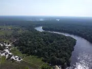 COP15 adopta plan regional para proteger bagres migratorios de la Amazonía