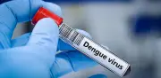 Dengue en Semana Santa: más de 20.000 casos en 2026 y riesgo en el 90% del territorio
