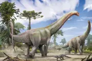 Descubren en Brasil nueva especie de dinosaurio que revela conexiones entre Europa y Sudamérica