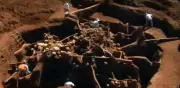 Descubren metrópolis subterránea de hormigas en Brasil: 50 m² y 40 toneladas de tierra removida