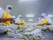 Desempleo en Cartagena alcanza 14,6% en trimestre móvil, superando promedio nacional