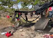 Desplazamiento forzado afectó a 3.409 personas en enero de 2026, según Defensoría del Pueblo