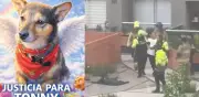Dueño de Tonny relata el horror: su perro fue lanzado desde piso 25 en Bogotá