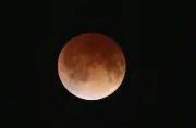 Eclipse lunar total: Colombia verá la 'Luna de Sangre' en madrugada del 3 de marzo