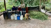 Ejército desmantela tres laboratorios de coca en Yarumal y Briceño, Antioquia