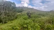 Ejército despliega operativo en zona rural de Tuluá contra disidencias de las FARC