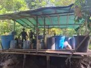 Ejército destruye nueve laboratorios de pasta base de coca en el Pacífico de Nariño