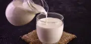 ¿Eliminó la leche de su alimentación? Expertos alertan sobre nutrientes esenciales que podría perder