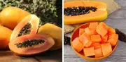 Estudiantes bolivianos crean anticonceptivo masculino reversible con semillas de papaya