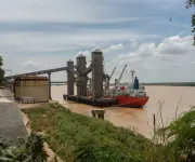 Exportaciones argentinas registran primera caída en ocho meses según datos oficiales del Indec