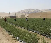 Fenómeno de El Niño amenaza con frenar auge de exportaciones agrícolas de Perú