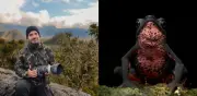 Fotógrafo colombiano gana premio internacional con imagen de rana en peligro crítico