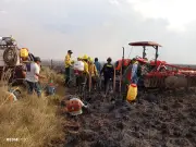 Fundación Palmarito denuncia incendio intencional en Casanare que arrasó 2.500 hectáreas