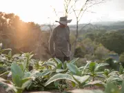 Gobierno destina COP 18 billones para redistribución de tierras en nueva política agraria