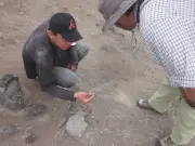 Hallazgo paleontológico en La Tatacoa: mandíbulas de mono de 13 millones de años