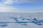 Hielo marino del Ártico registra mínimos históricos consecutivos en invierno