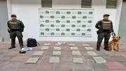 Incautan nueve kilos de marihuana y cocaína en Santander con destino a Cartagena
