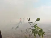 Incendio forestal amenaza viviendas en Villa David, Yopal: Bomberos y comunidad combaten las llamas