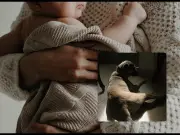 Investigación por ataque canino fatal a bebé de 5 días en Michigan