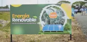 Italcol inaugura planta solar para alimentos de mascotas en Palmira, una de las más sostenibles de Colombia
