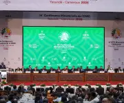 La OMC fracasa en acuerdo clave sobre aranceles digitales tras 28 años de moratoria