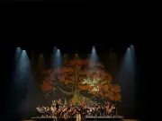 Las Cuatro Estaciones: Un Encuentro Musical de Vivaldi, Piazzolla y Richter en Bogotá