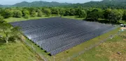 Minigranjas solares de Unergy generan energía para 35.000 hogares colombianos